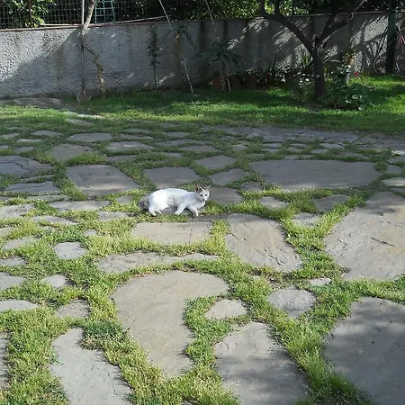 Alojamento de Acomodação e Pequeno-almoço Rita *